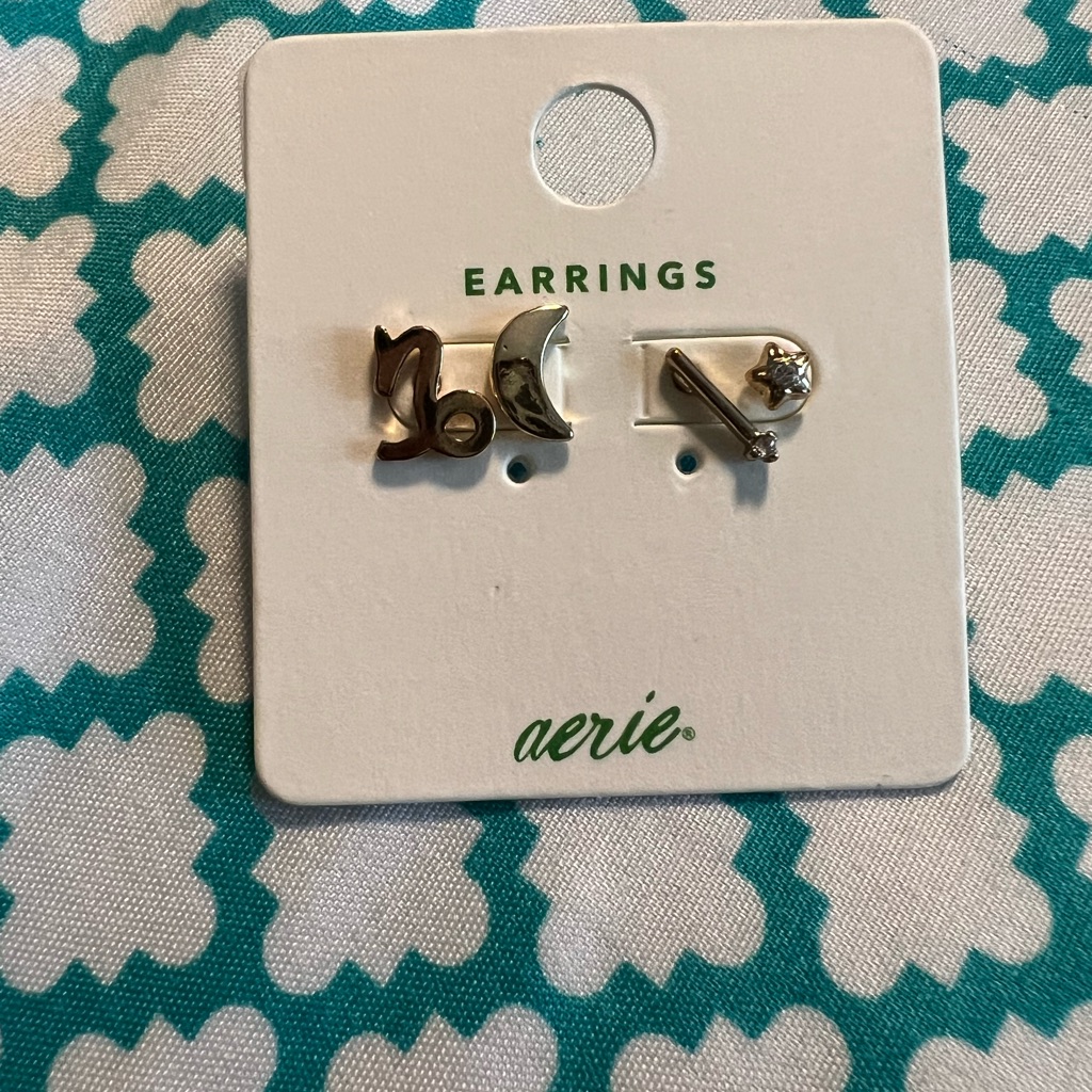 Capricorn Earrings 5$